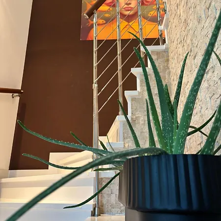 Daisy In A Quiet Location