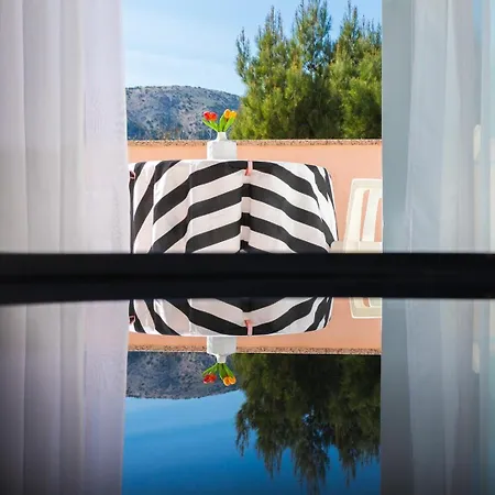 Daisy In A Quiet Location バスカ