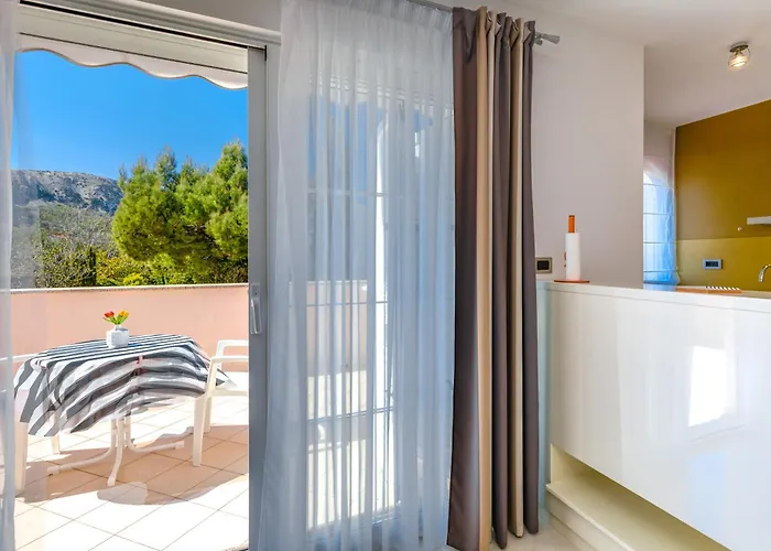 Daisy In A Quiet Location Baška