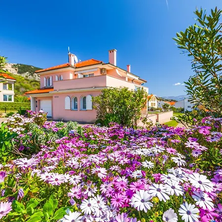 Apartament Daisy In A Quiet Location *